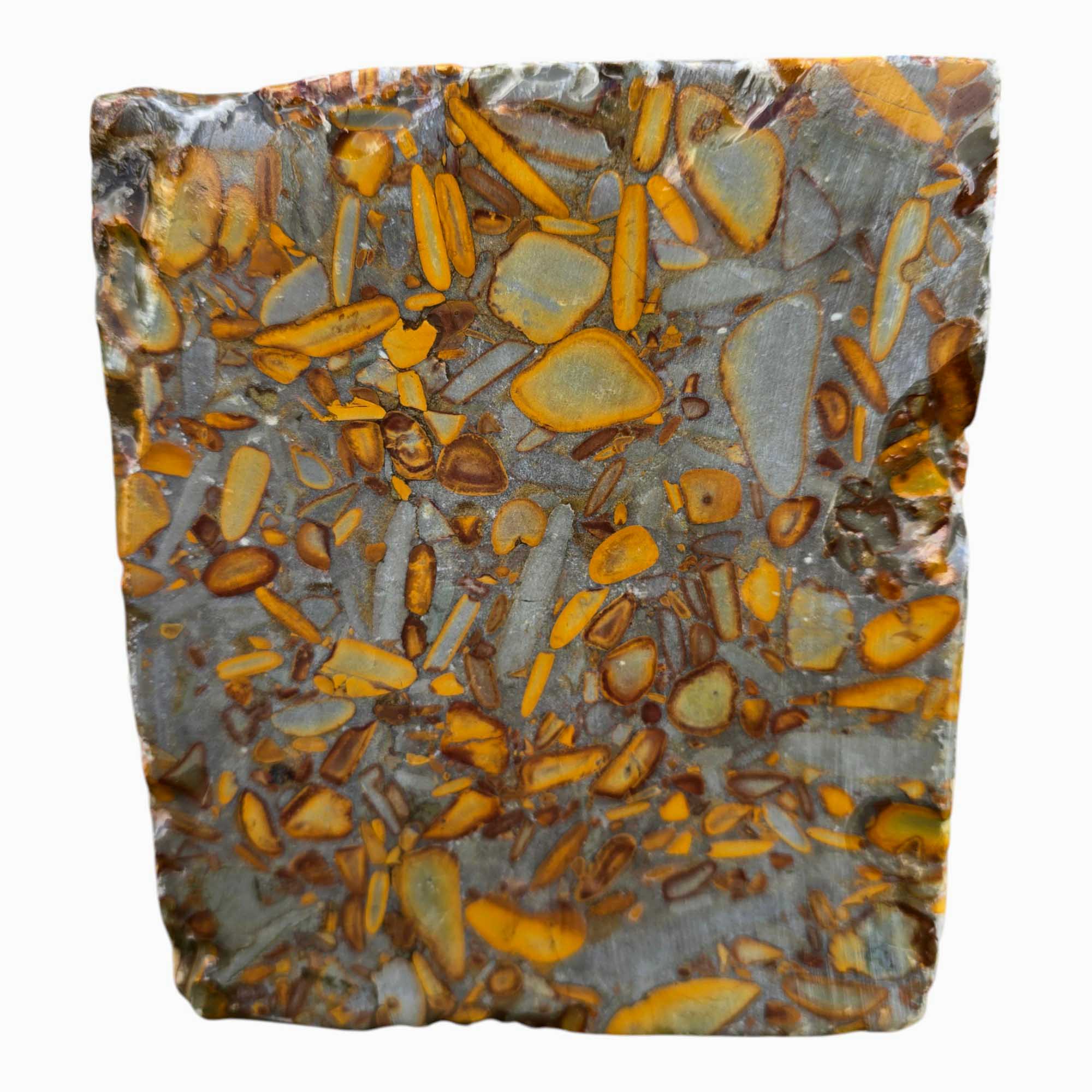 Bamboo Jasper Lapidary Cutting Rough Chunk Stone Cut Face