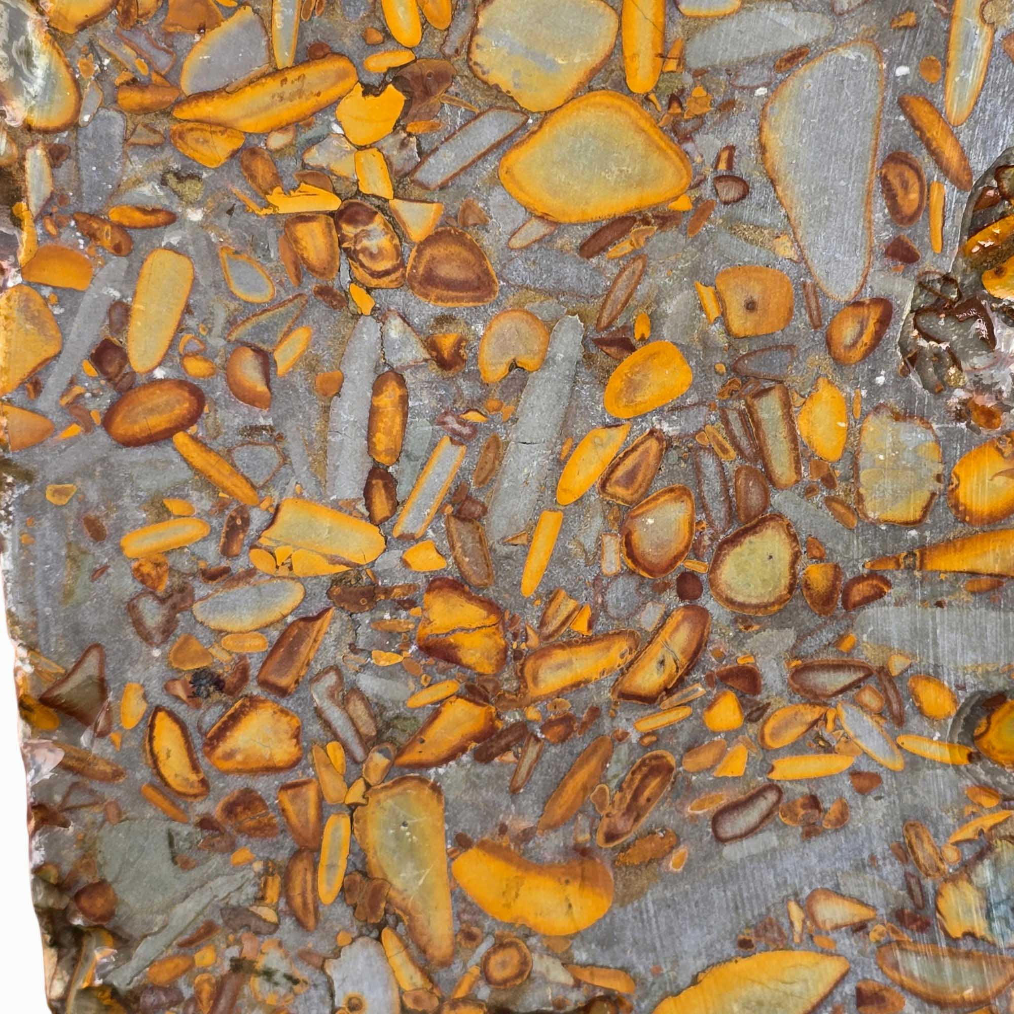 Bamboo Jasper Lapidary Cutting Rough Chunk Stone Cut Face