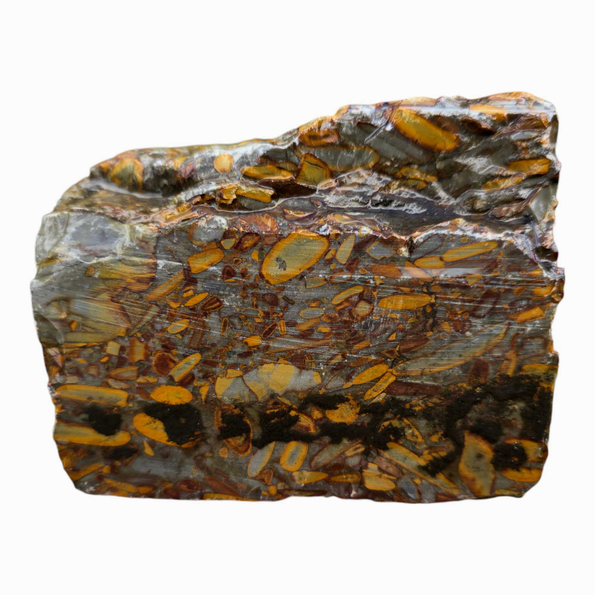 Bamboo Jasper Lapidary Cutting Rough Chunk Stone Cut Face