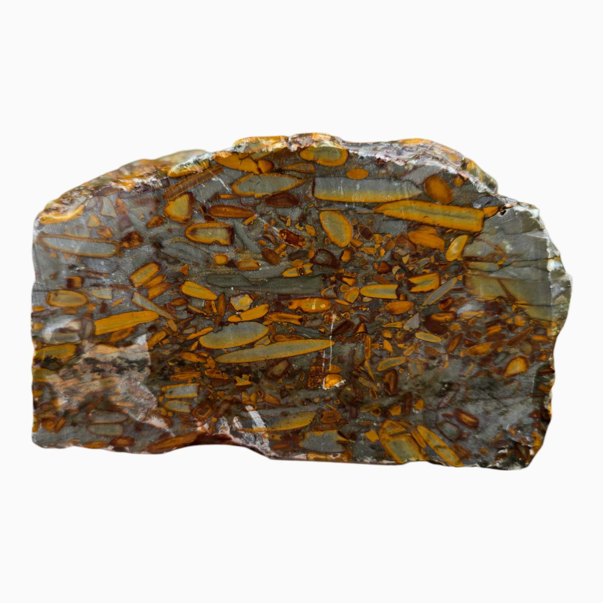 Bamboo Jasper Lapidary Cutting Rough Chunk Stone Cut Face