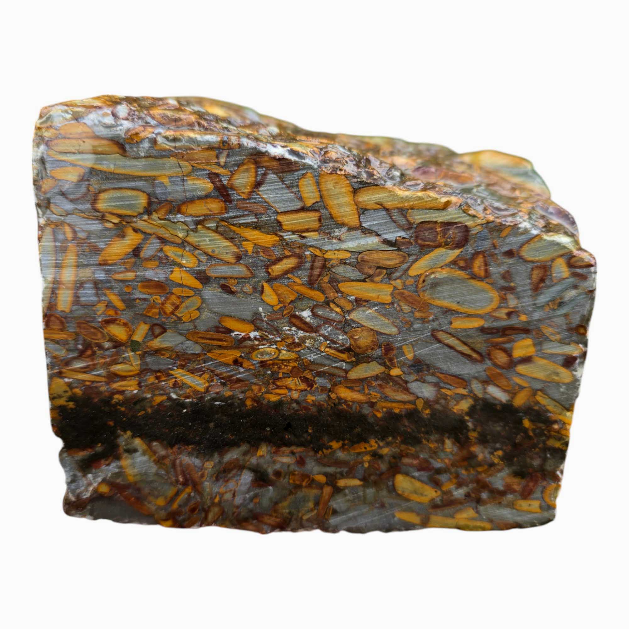 Bamboo Jasper Lapidary Cutting Rough Chunk Stone Cut Face