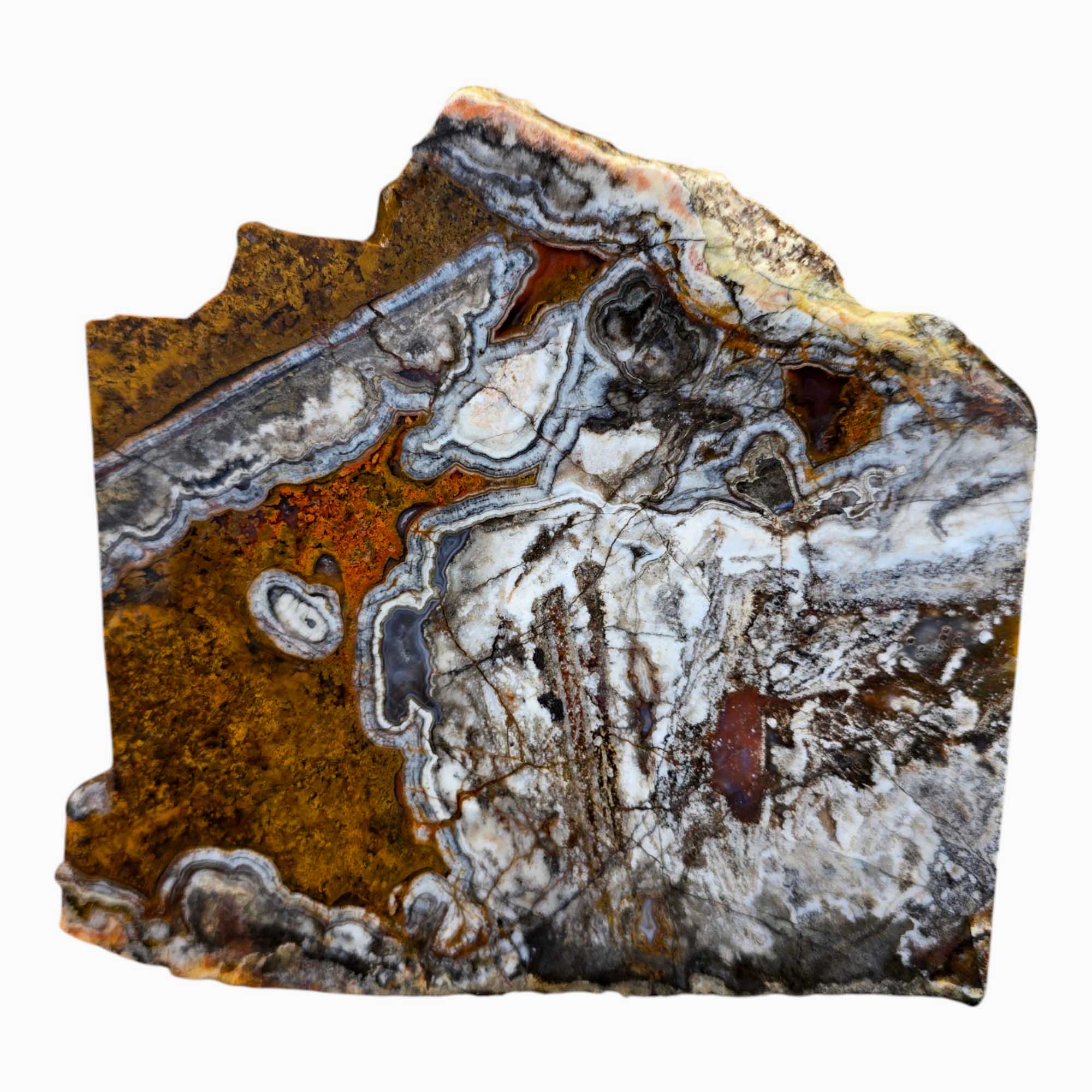 Big Diggins Agate Slab Lapidary Stone Slice Cut Rock