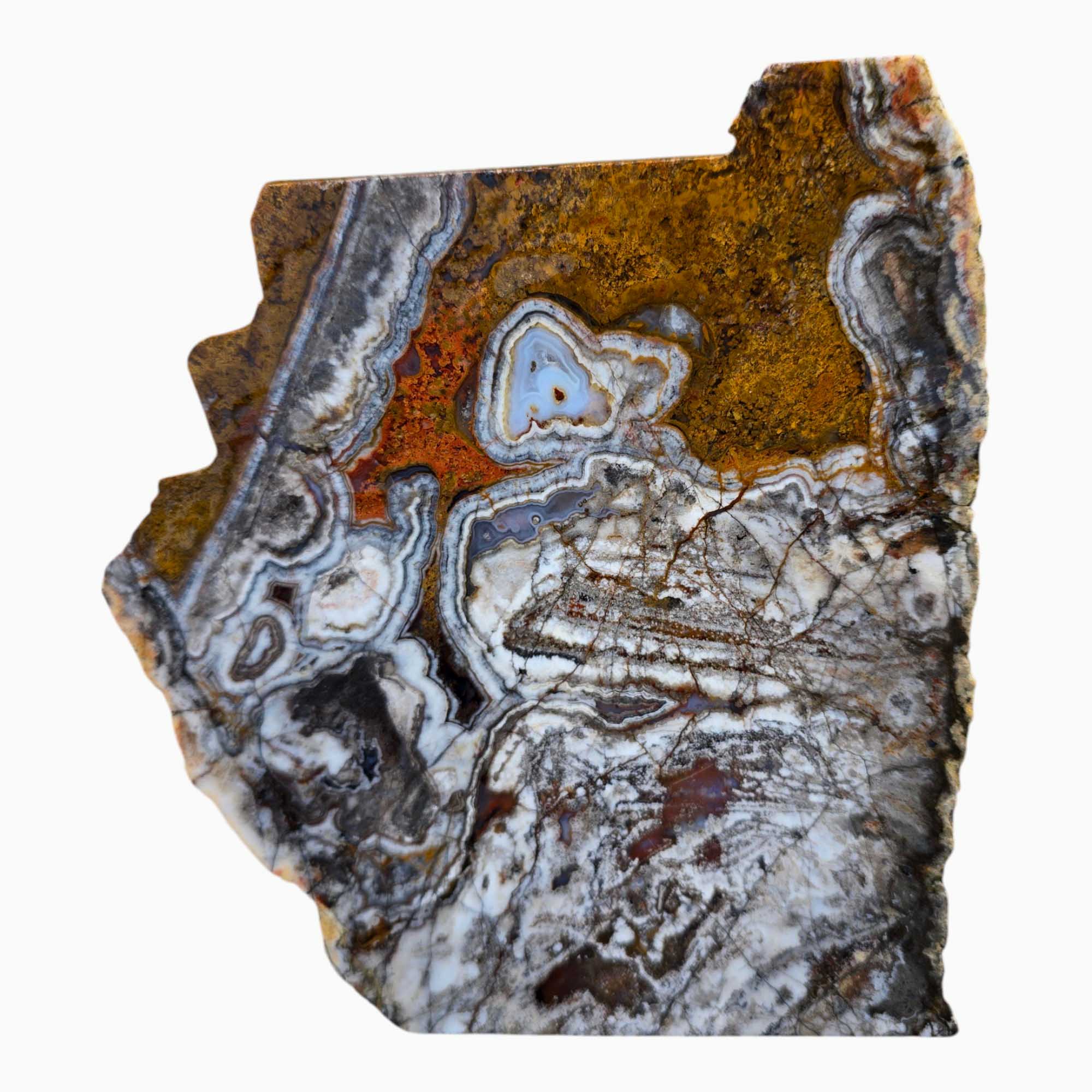 Big Diggins Agate Slab Lapidary Stone Slice Cut Rock