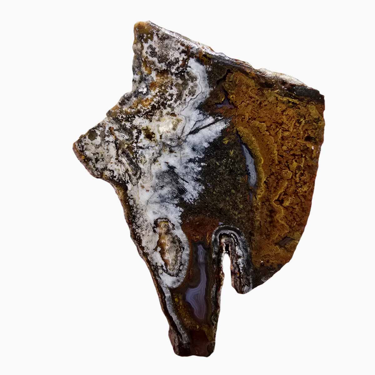 Big Diggins Agate Slab Lapidary Stone Slice Cut Rock