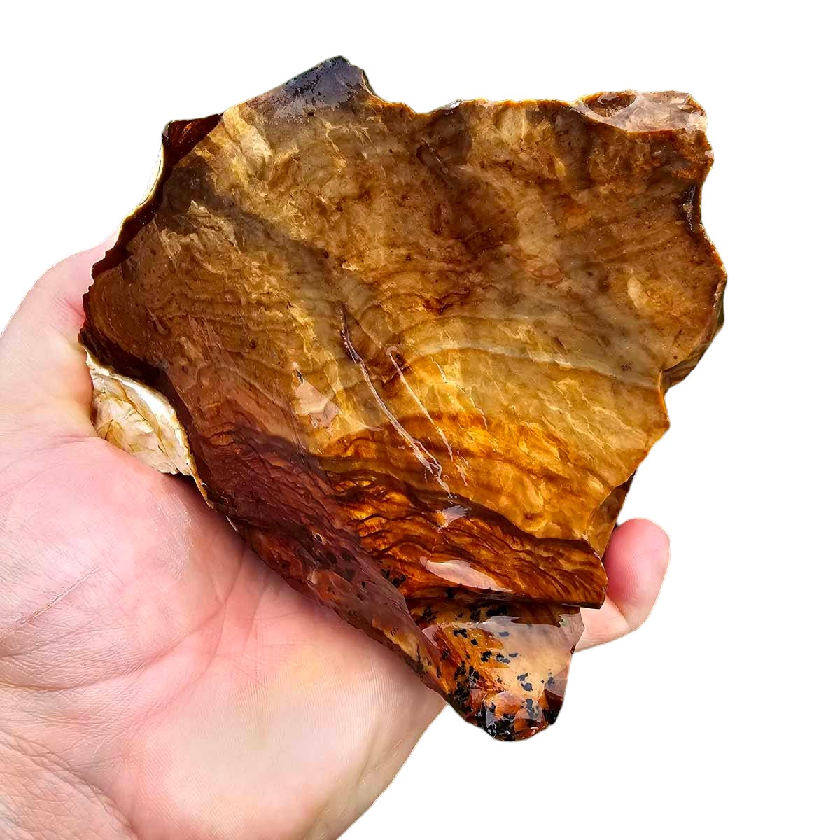 RARE Classic Oregon Biggs Picture Jasper Rough Chunk!