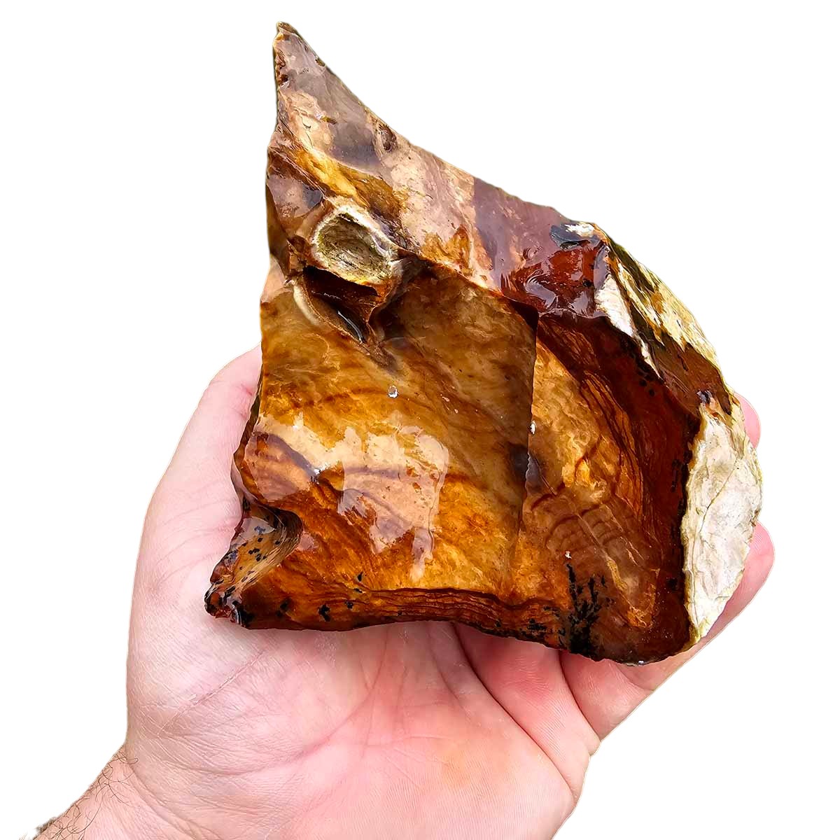 RARE Classic Oregon Biggs Picture Jasper Rough Chunk!