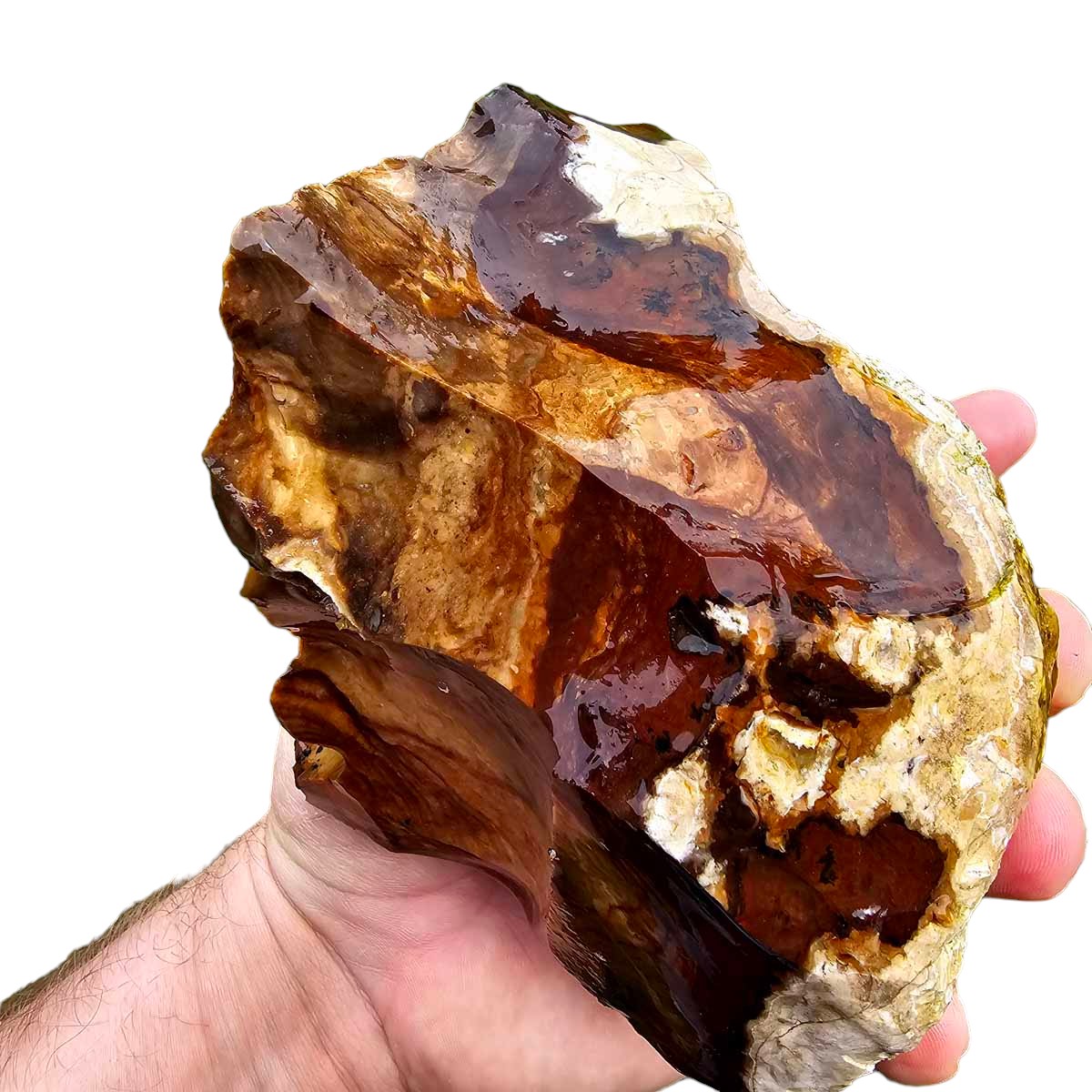 RARE Classic Oregon Biggs Picture Jasper Rough Chunk!