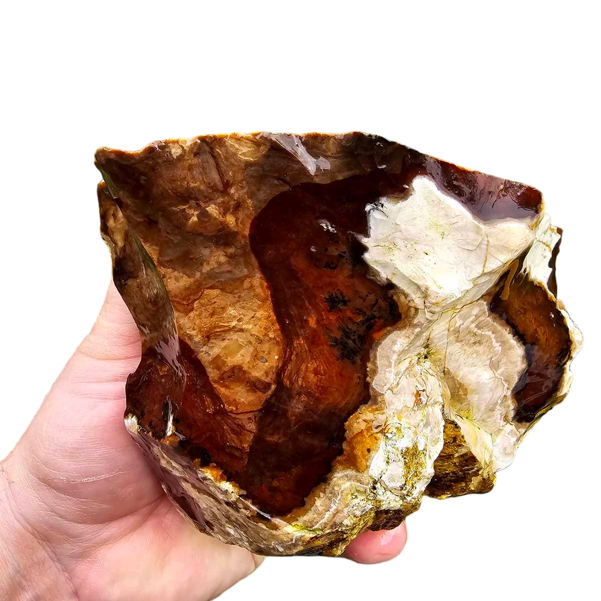 RARE Classic Oregon Biggs Picture Jasper Rough Chunk!