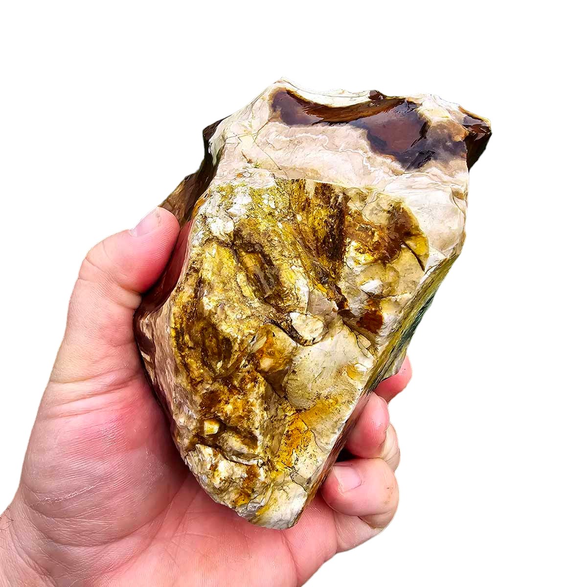 RARE Classic Oregon Biggs Picture Jasper Rough Chunk!