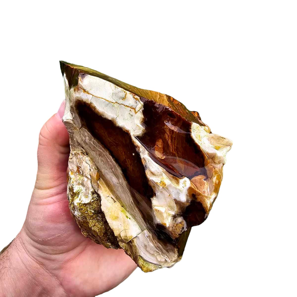 RARE Classic Oregon Biggs Picture Jasper Rough Chunk!