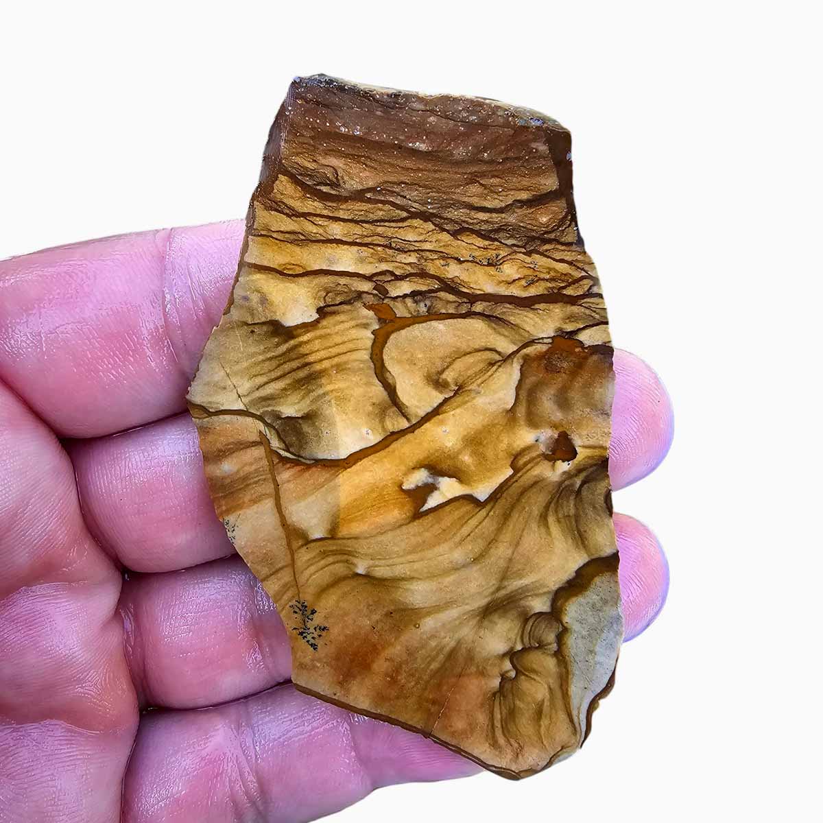 Old Stock Biggs Picture Jasper Slab  Lapidary Stone Slab