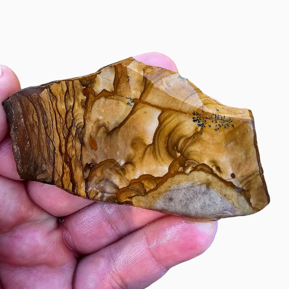 Old Stock Biggs Picture Jasper Slab  Lapidary Stone Slab