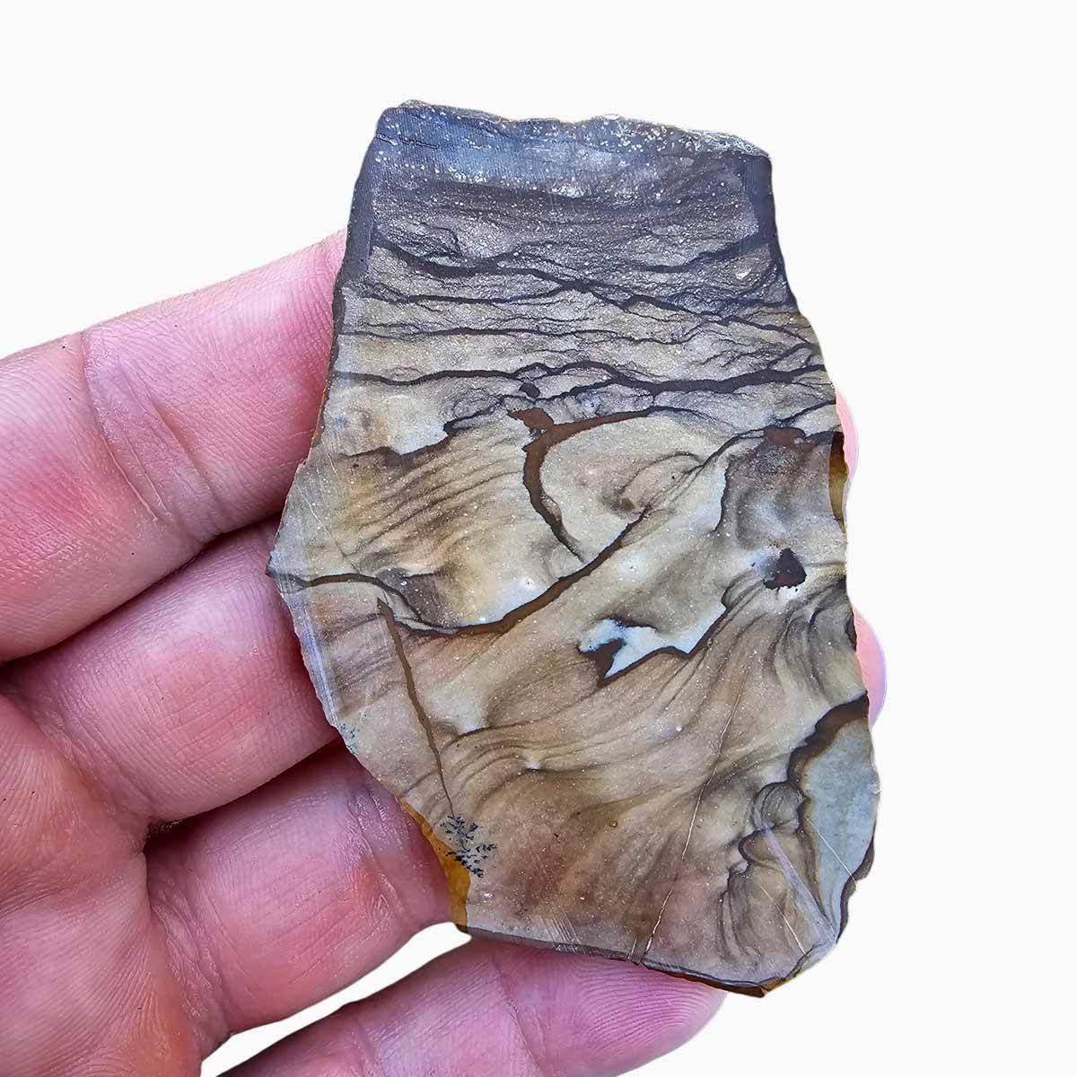 Old Stock Biggs Picture Jasper Slab  Lapidary Stone Slab