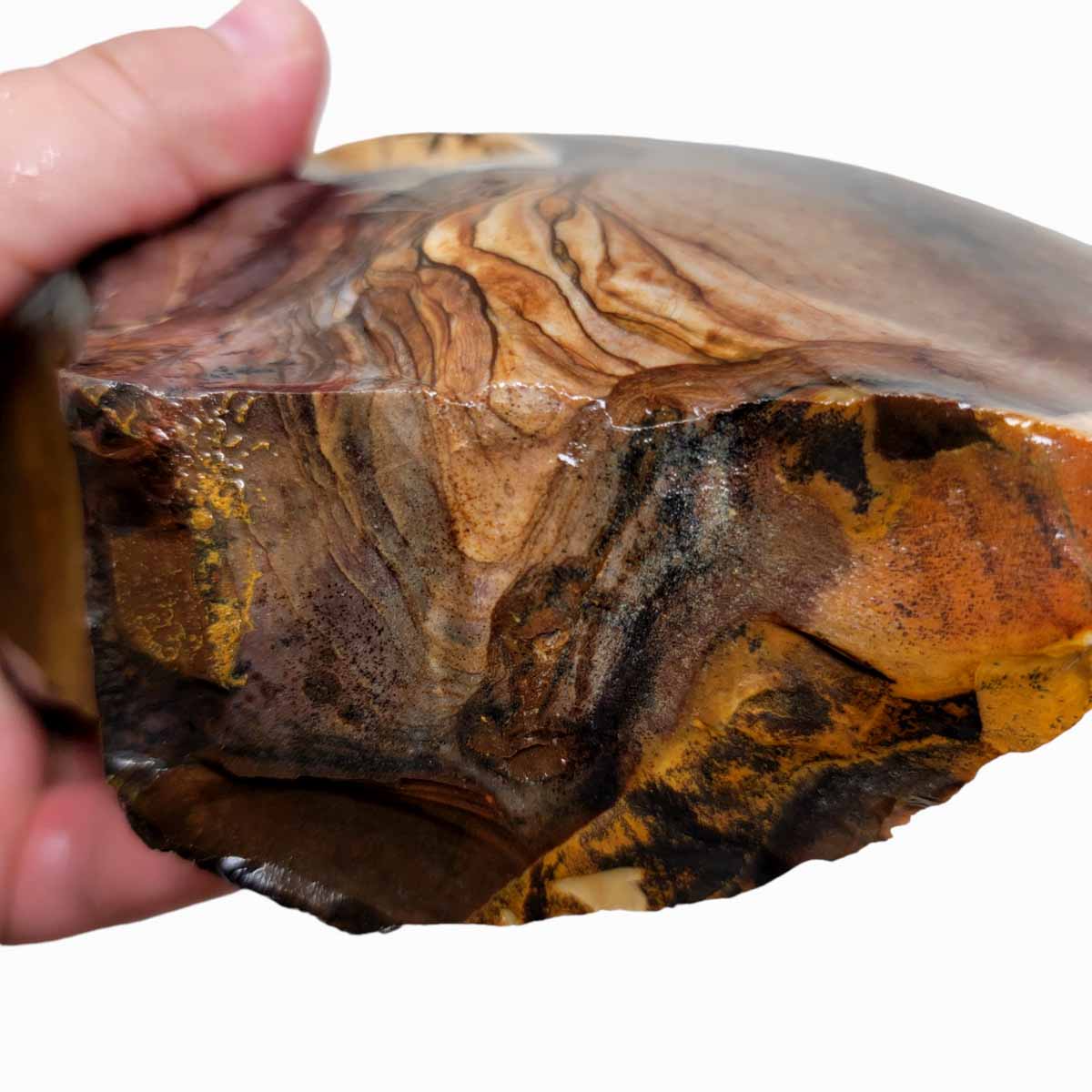 RARE Classic Oregon Biggs Picture Jasper Rough Chunk!