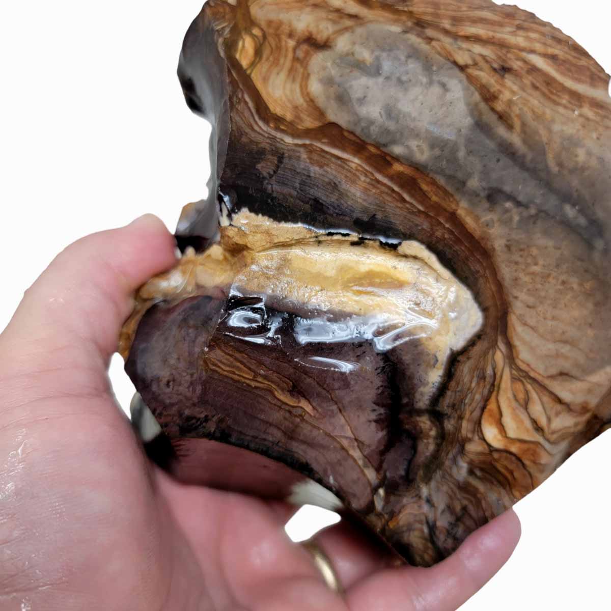 RARE Classic Oregon Biggs Picture Jasper Rough Chunk!