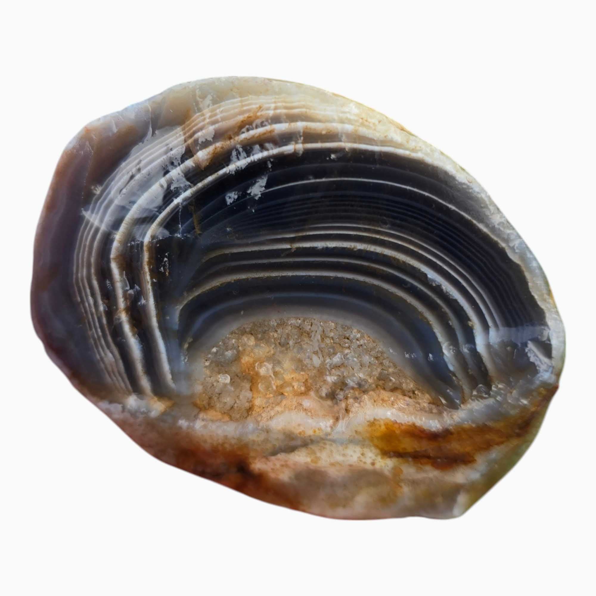 Botswana Agate Duo Lapidary Cutting Rough Chunks