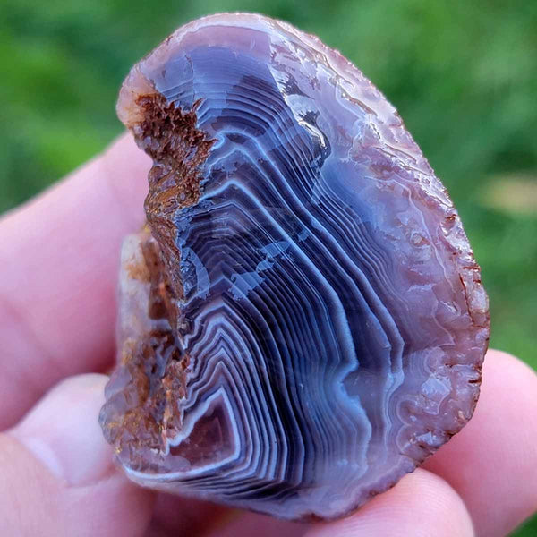 Random Pull RARE Botswana Agate Rough! Old Stock Lapidary Stone Materi