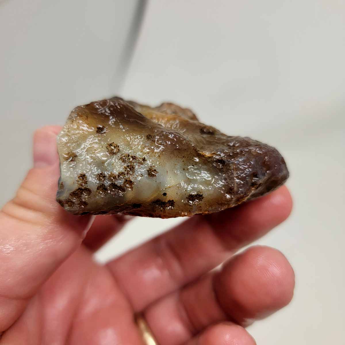 Botswana Agate Duo Rough Chunks!