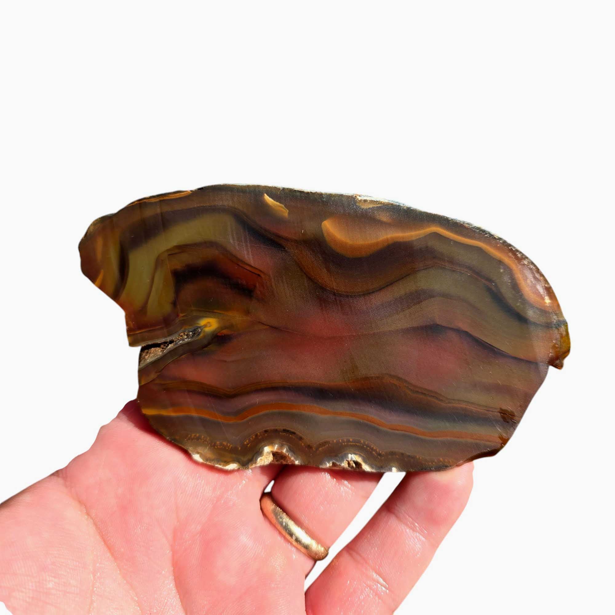 Brazilian Agate Slab Lapidary Stone Slice Cut Rock