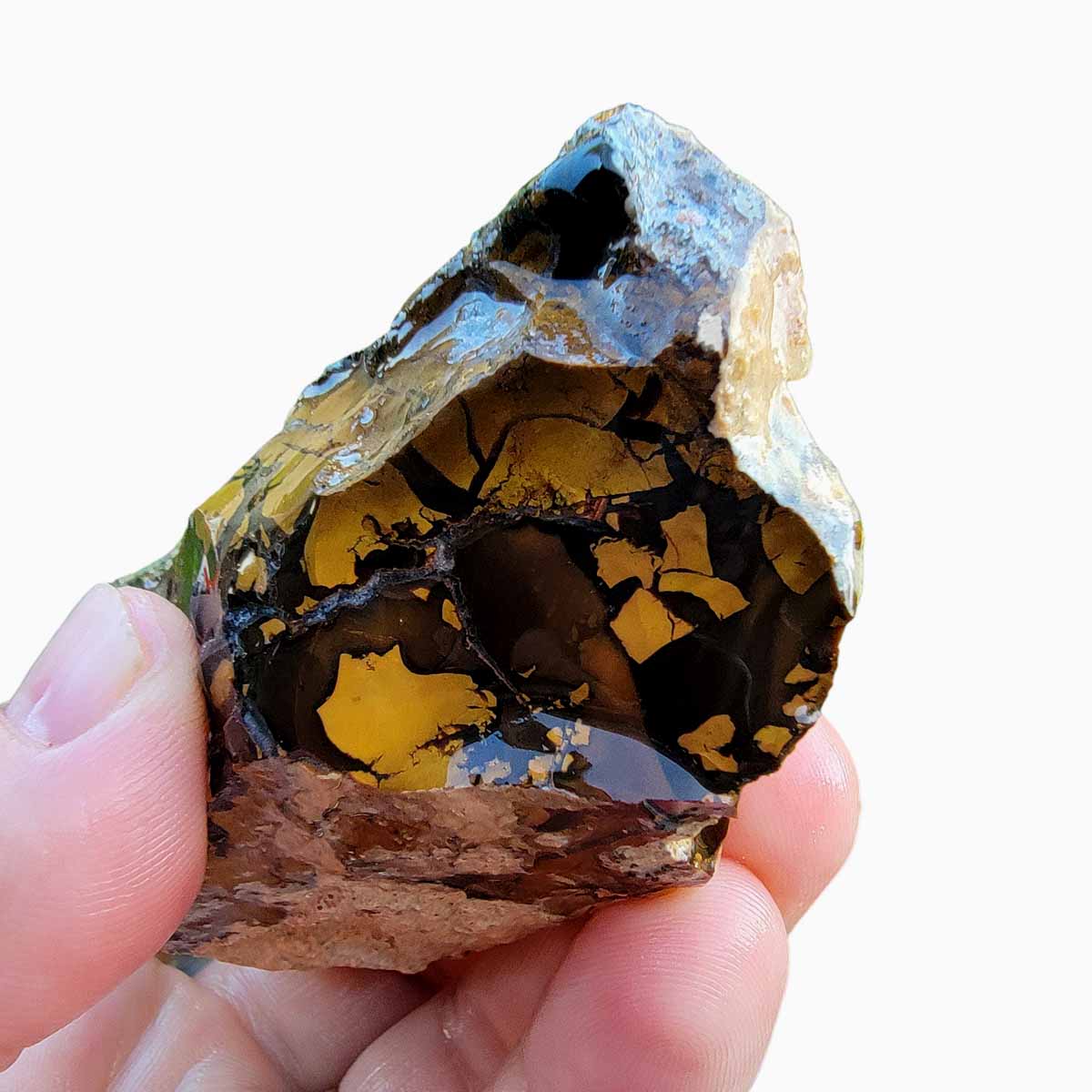 Brecciated Whisky Creek Jasper Rough Chunk!  RARE!