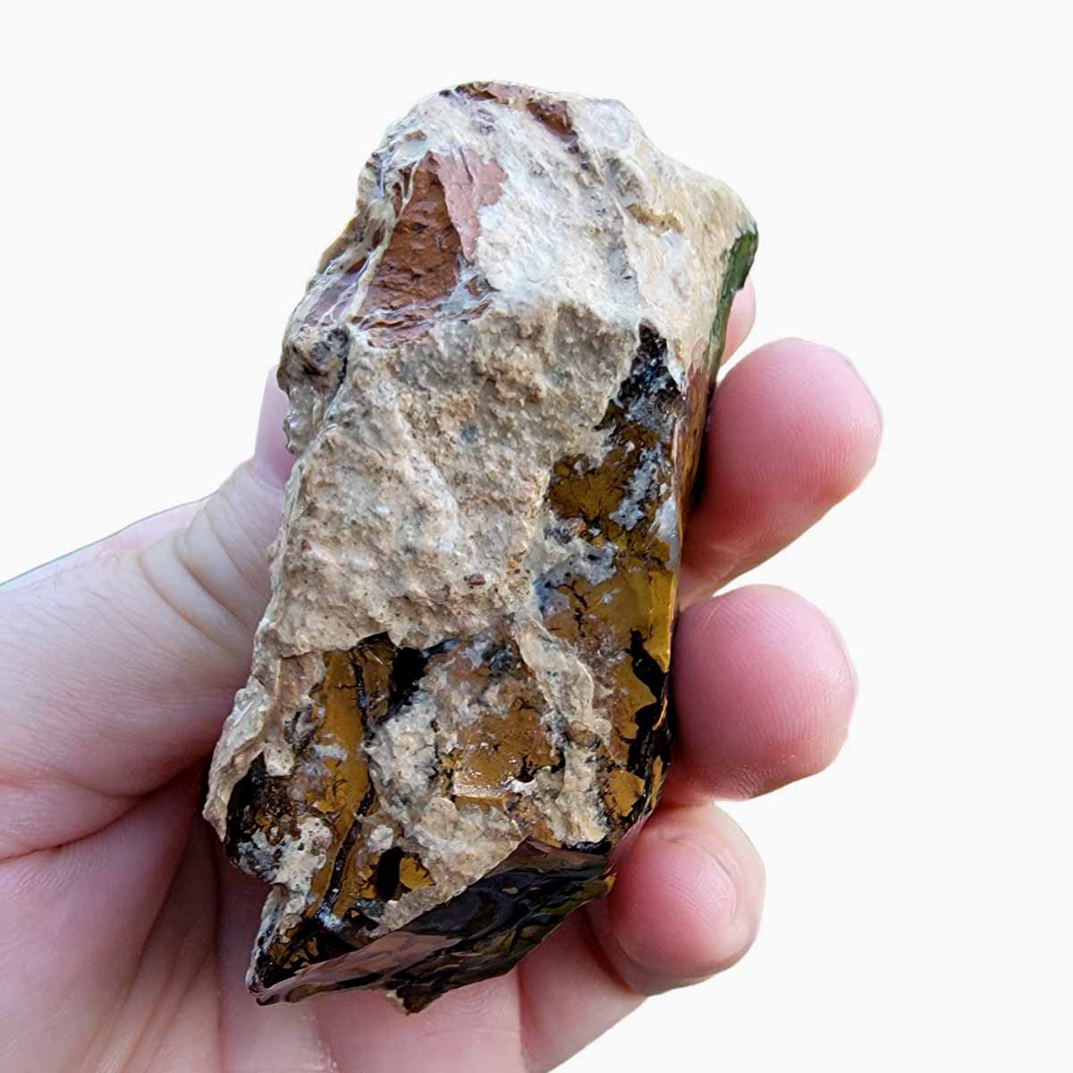 Brecciated Whisky Creek Jasper Rough Chunk!  RARE!