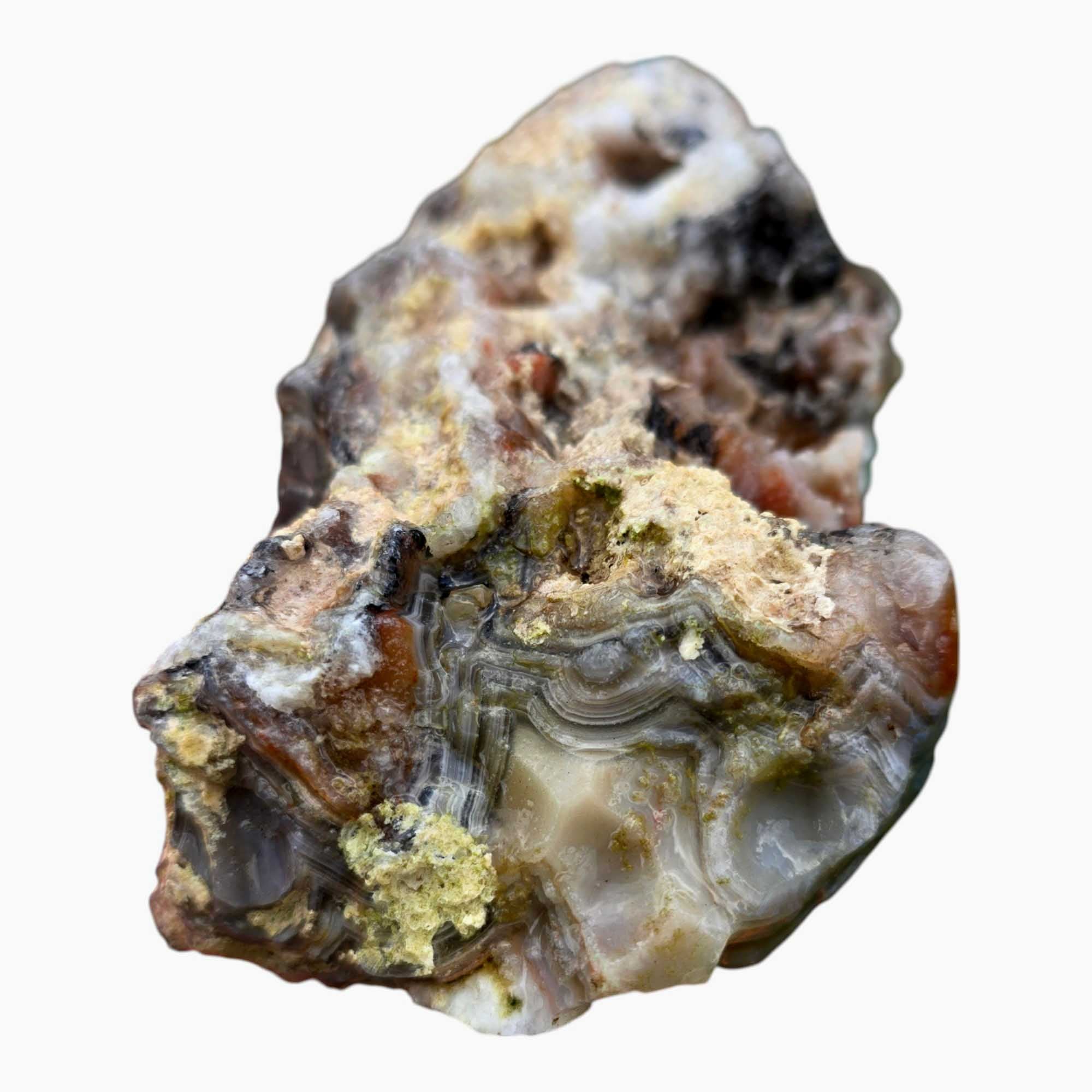 Old Vein Bubble Lace Agate Lapidary Cutting Rough Chunk