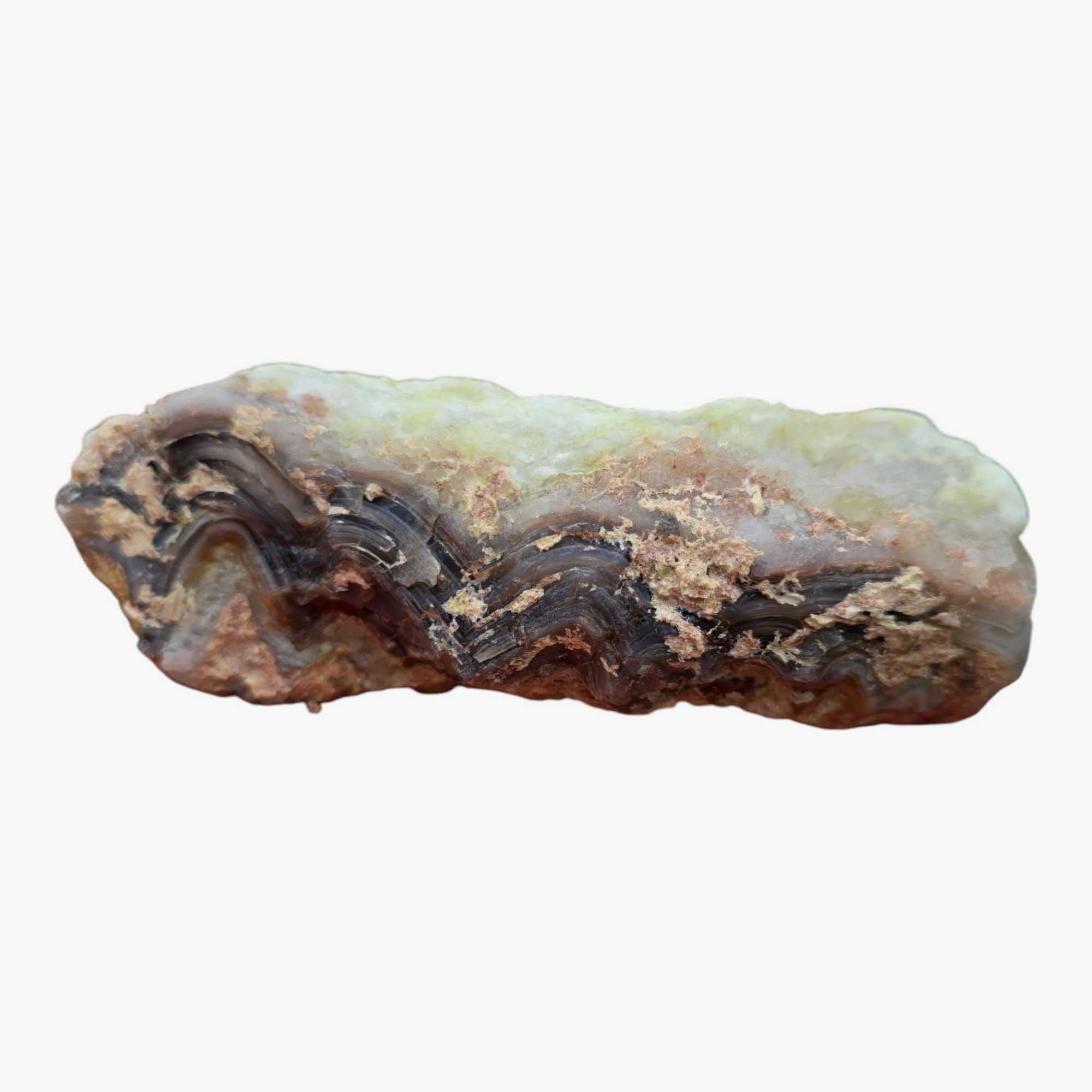 Old Vein Bubble Lace Agate Lapidary Cutting Rough Chunk