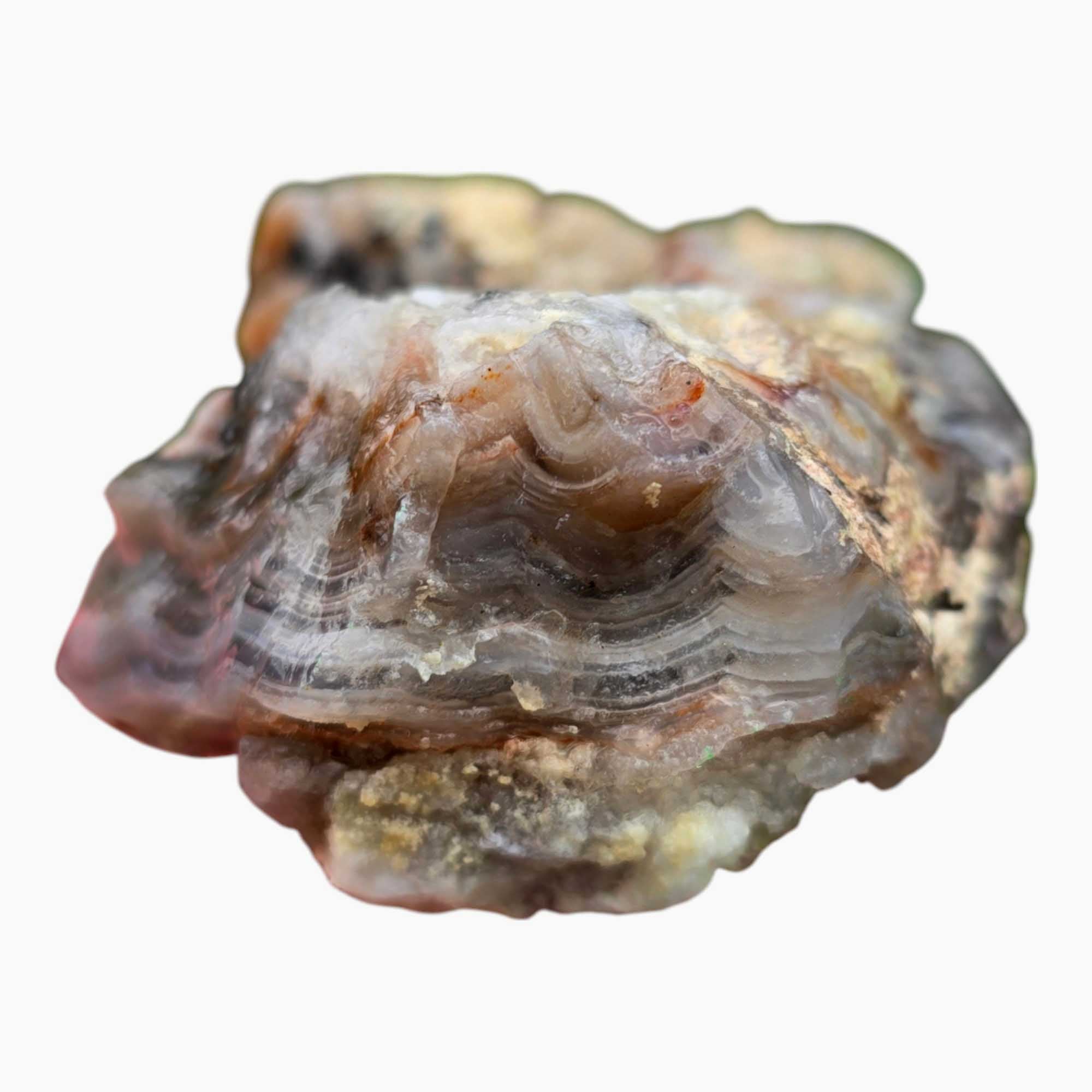 Old Vein Bubble Lace Agate Lapidary Cutting Rough Chunk