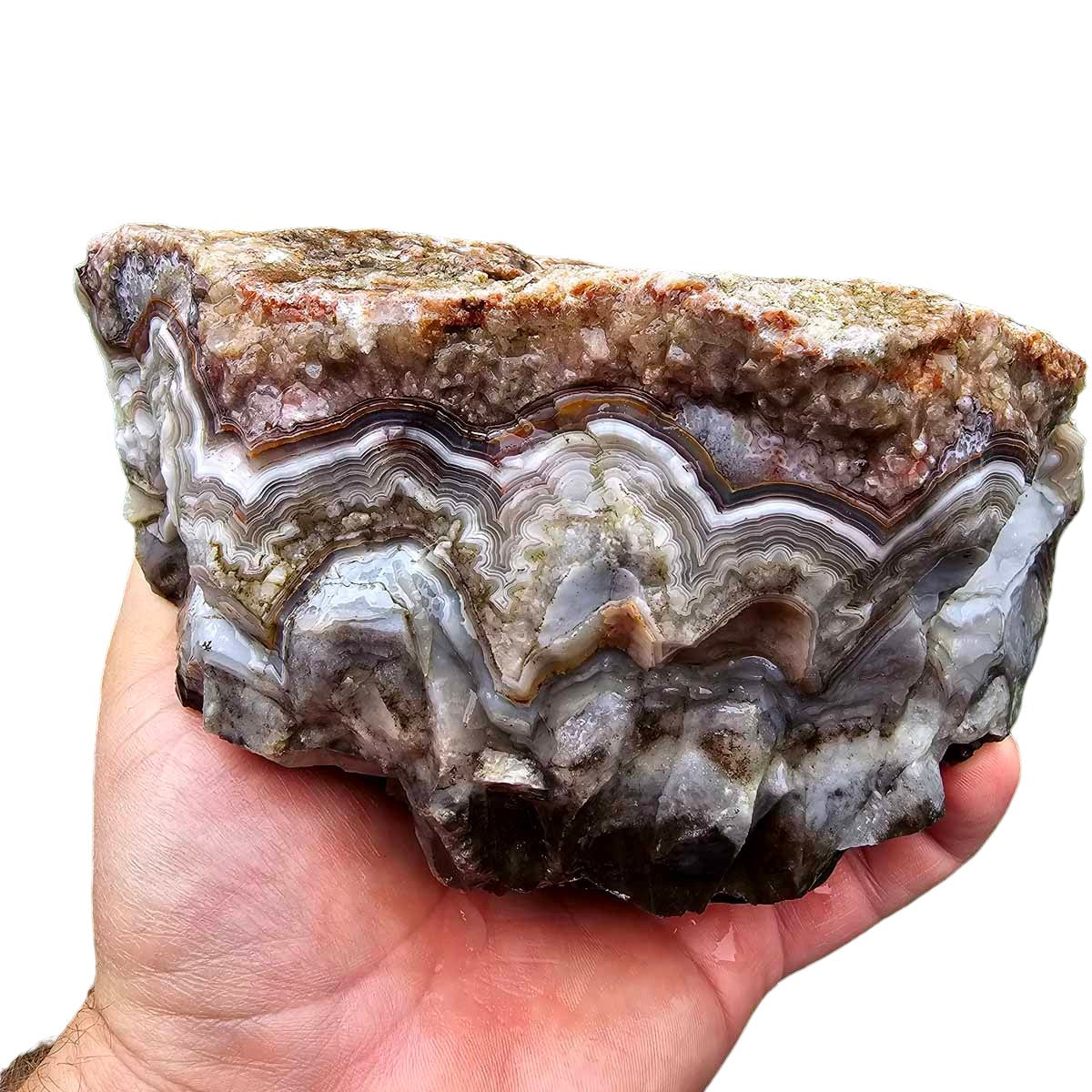 Old Vein Lace Agate Rough Chunk!