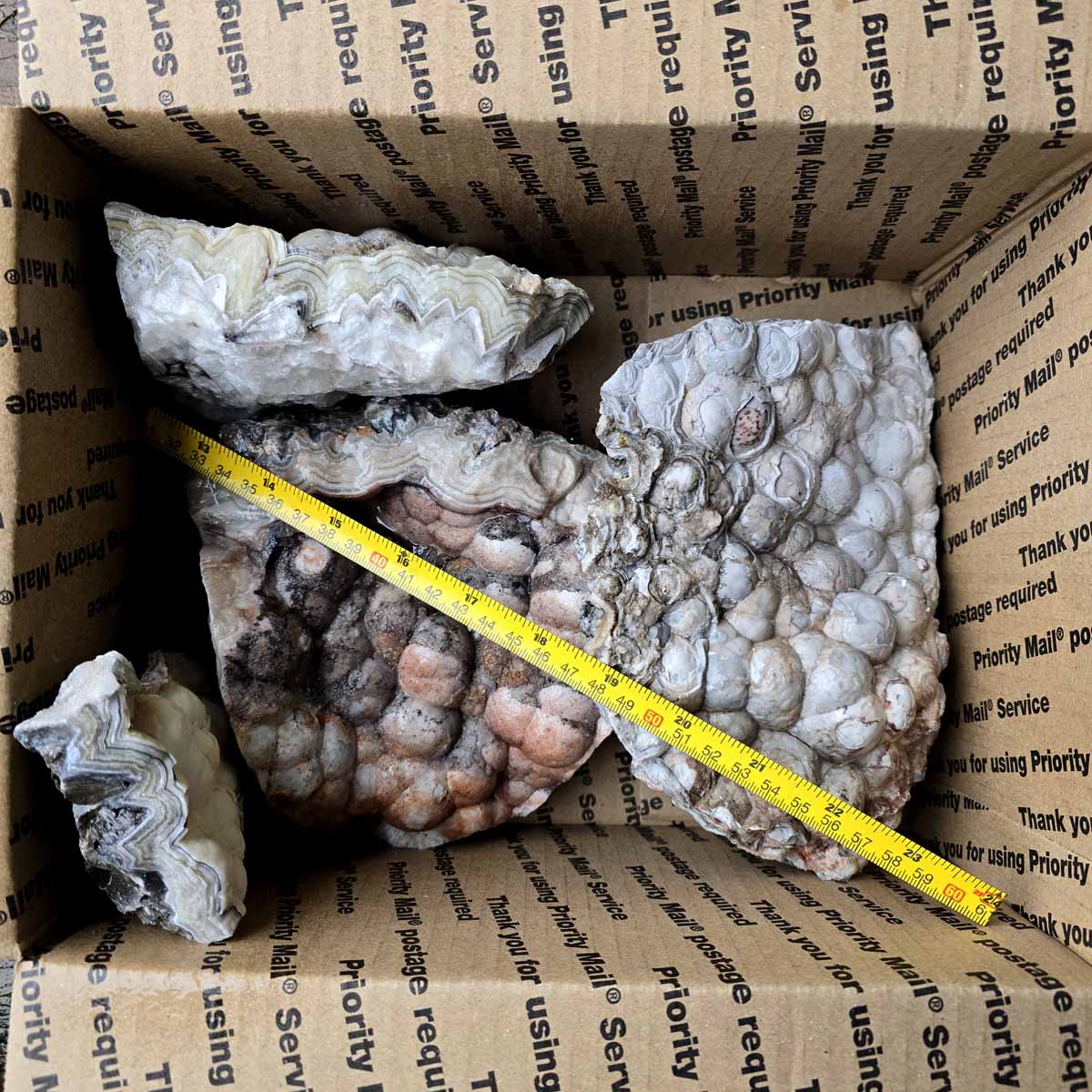 Old Vein Bubble Lace Agate Lapidary Rough Flatrate Slicing Stones Rock Box