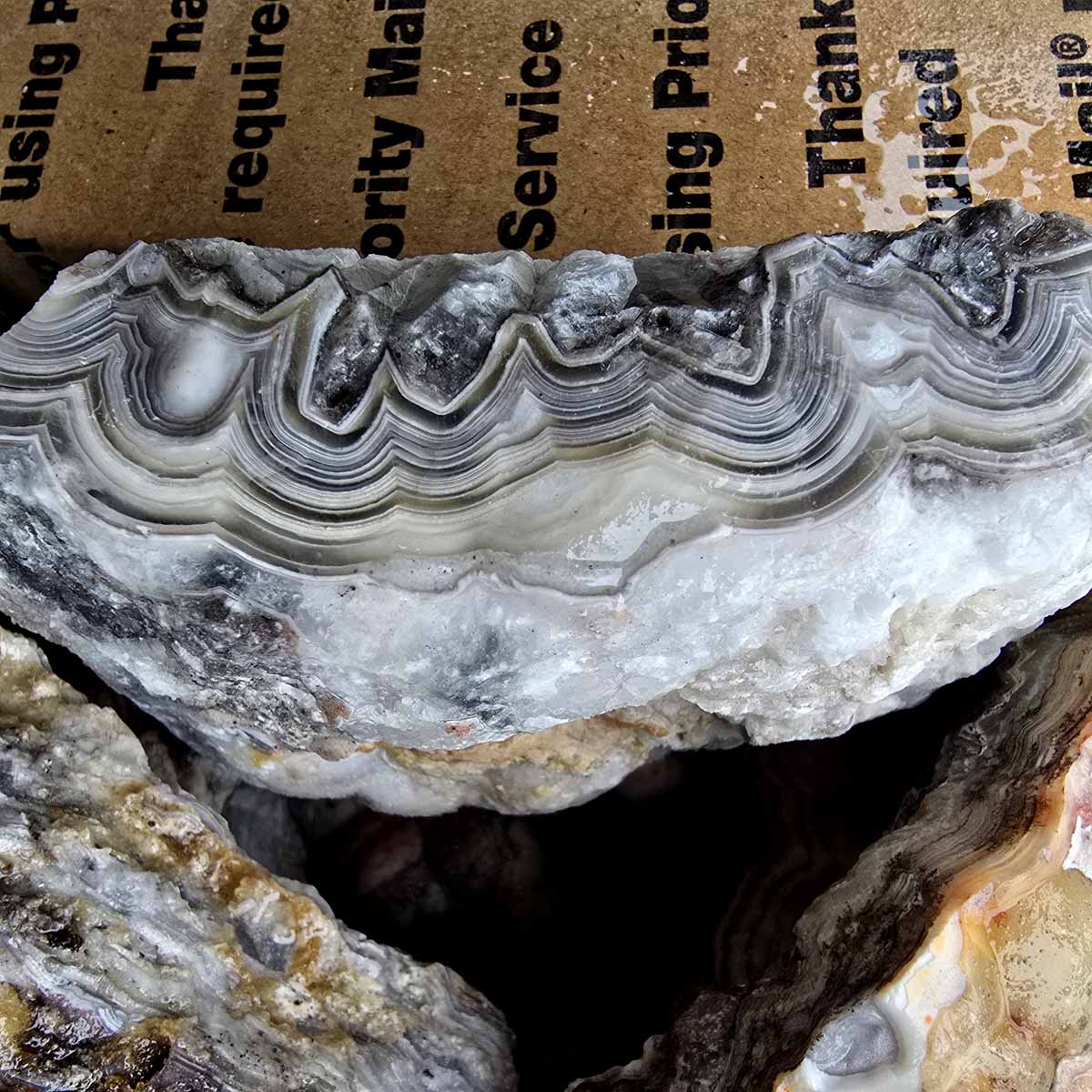 Old Vein Bubble Lace Agate Lapidary Rough Flatrate Slicing Stones Rock Box