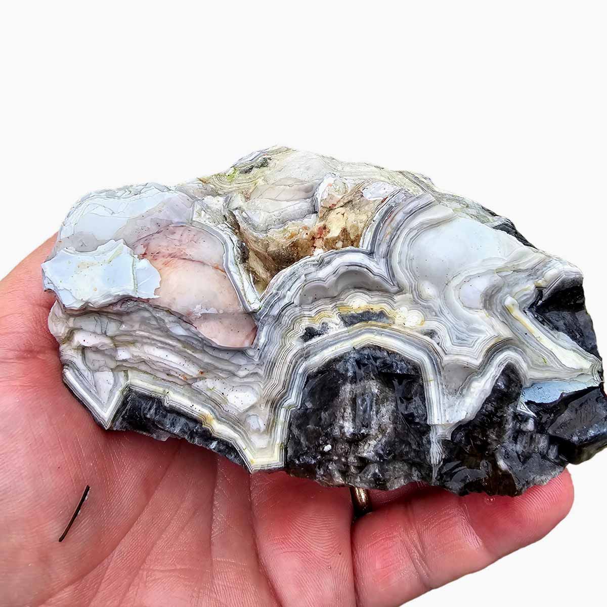 Old Vein Lace Agate Lapidary Rough Chunk