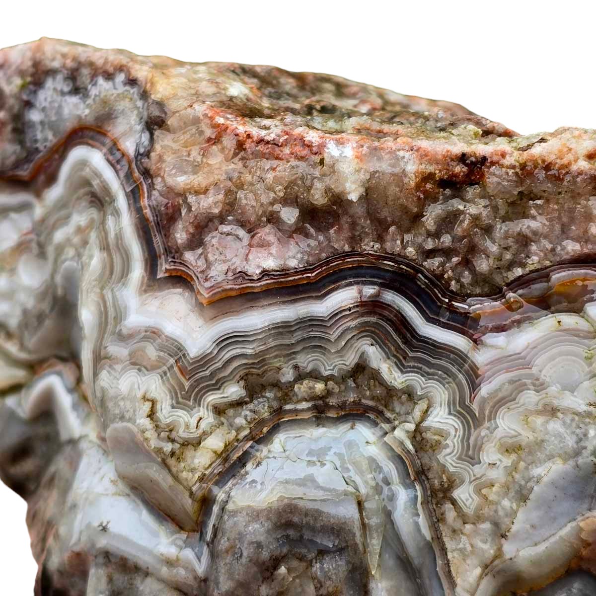 Old Vein Lace Agate Rough Chunk!