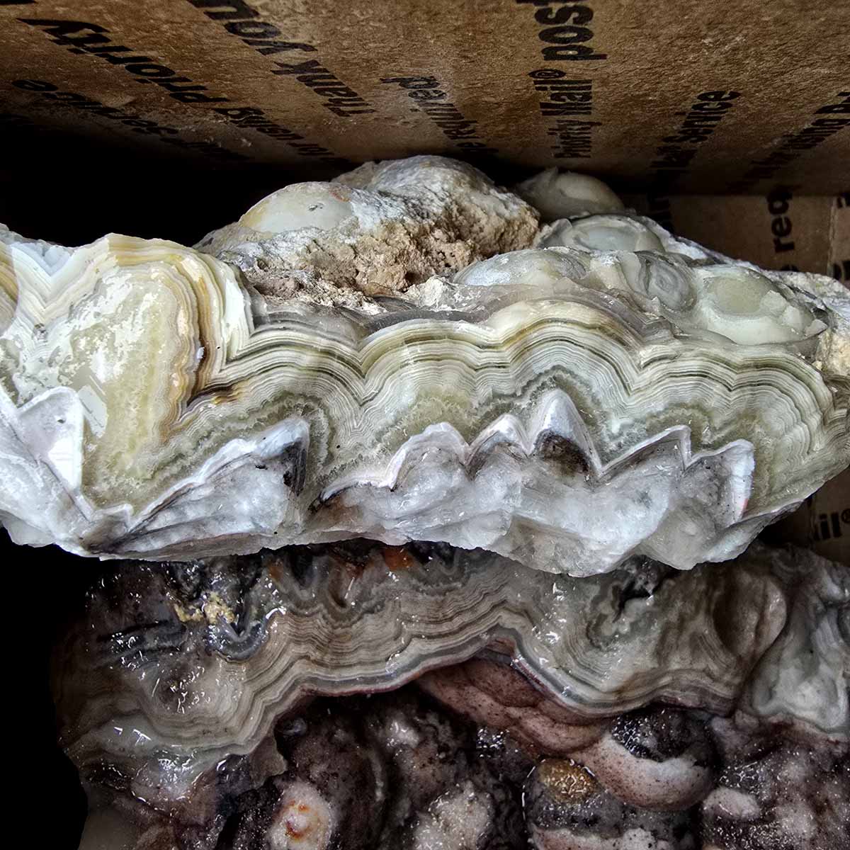 Old Vein Bubble Lace Agate Lapidary Rough Flatrate Slicing Stones Rock Box