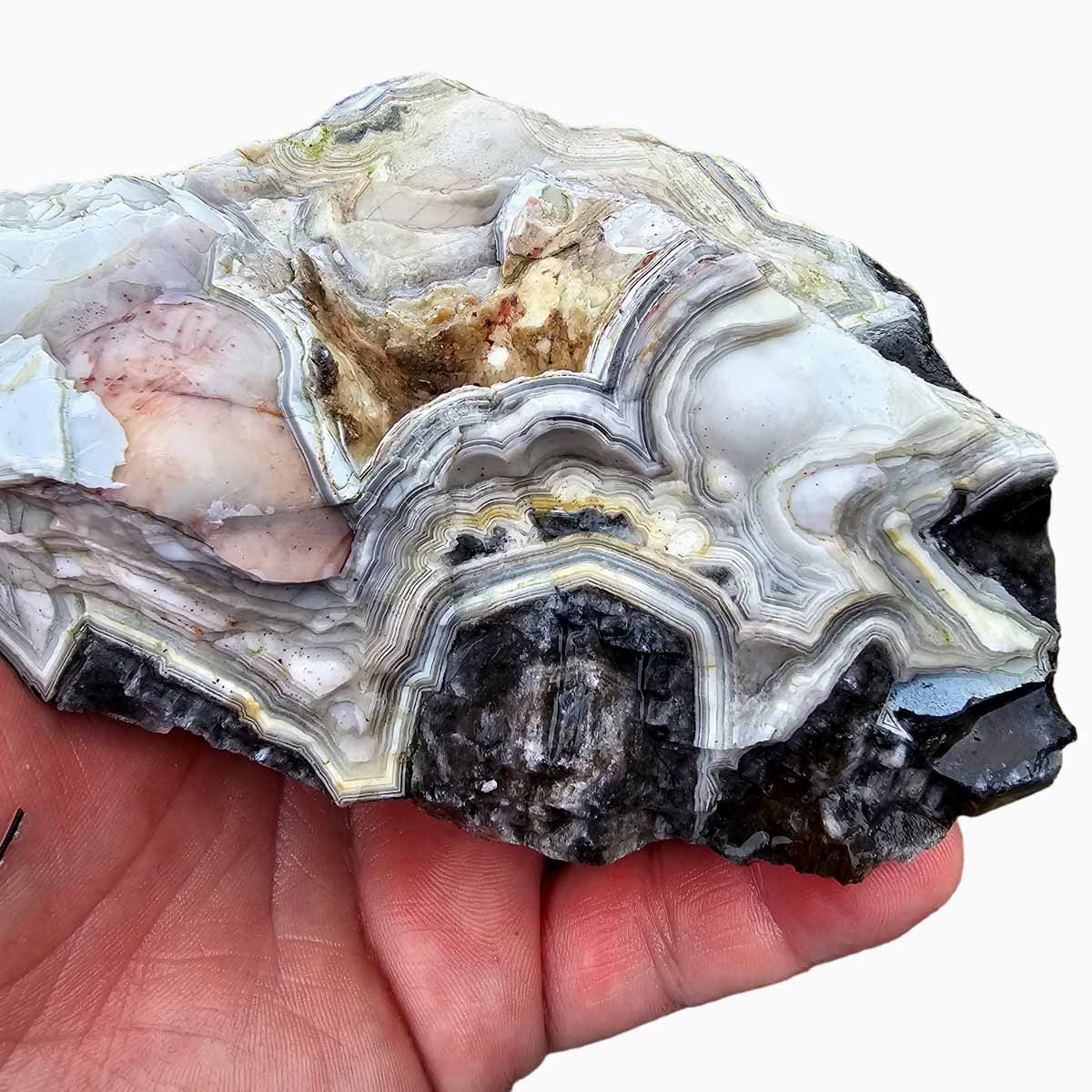 Old Vein Lace Agate Lapidary Rough Chunk