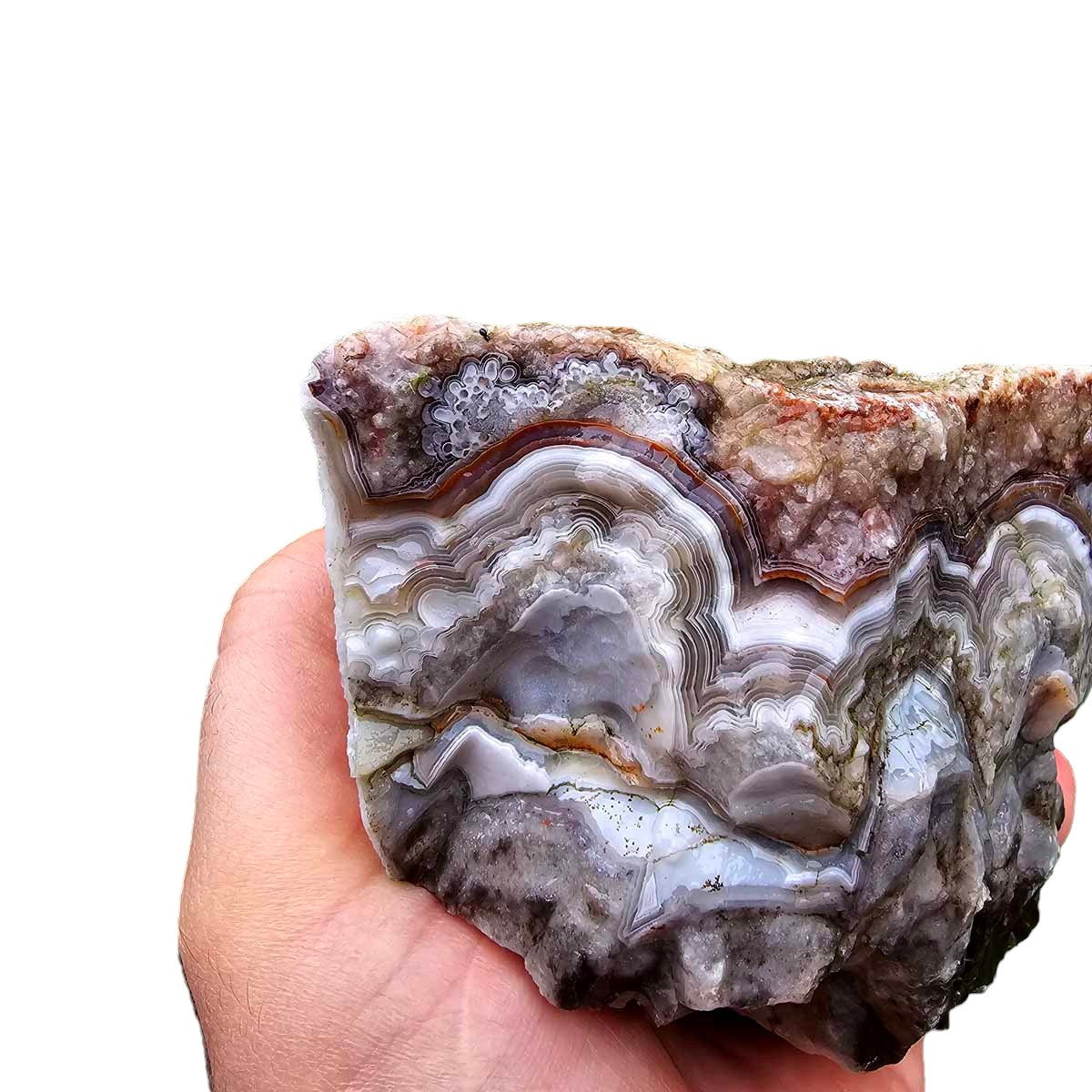 Old Vein Lace Agate Rough Chunk!