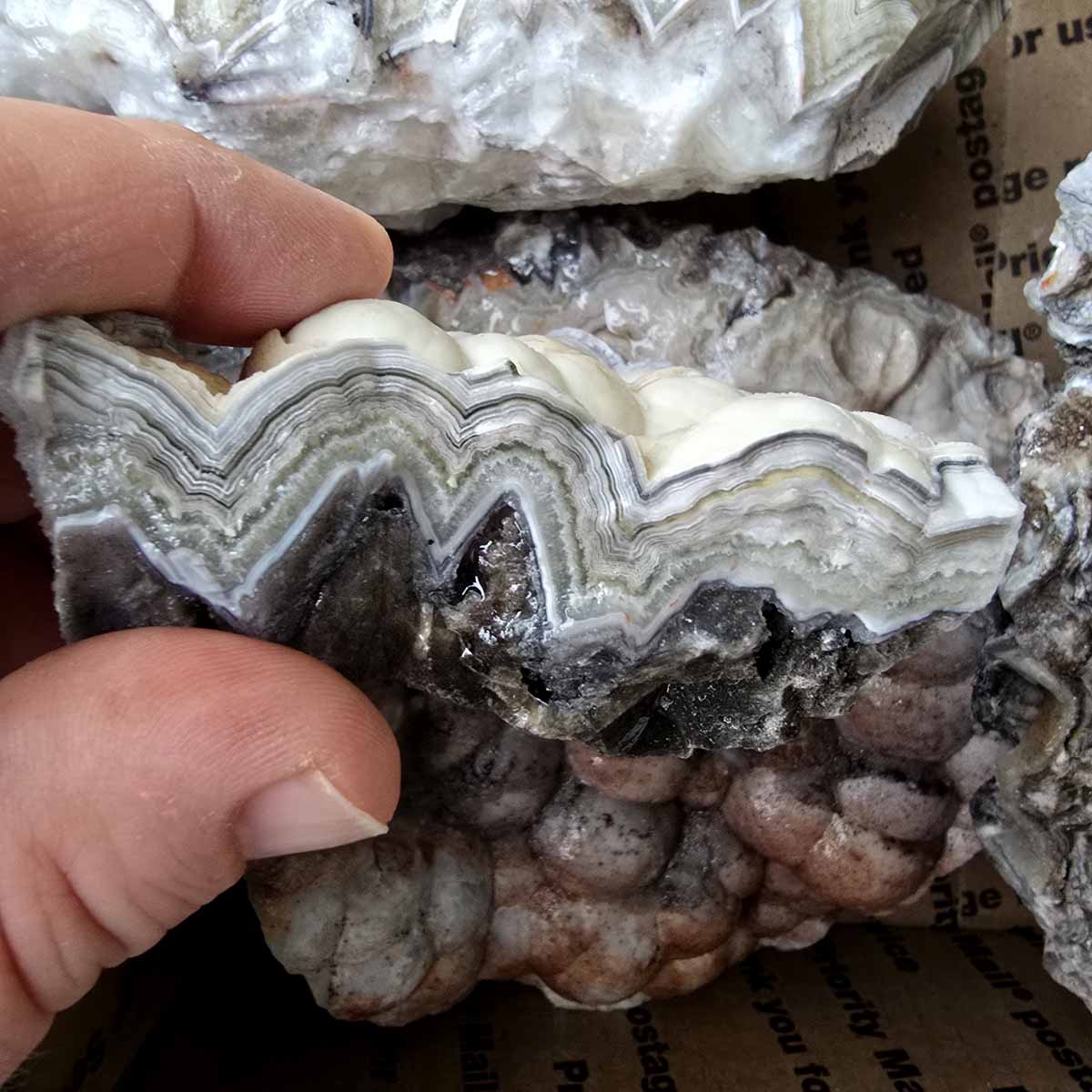 Old Vein Bubble Lace Agate Lapidary Rough Flatrate Slicing Stones Rock Box