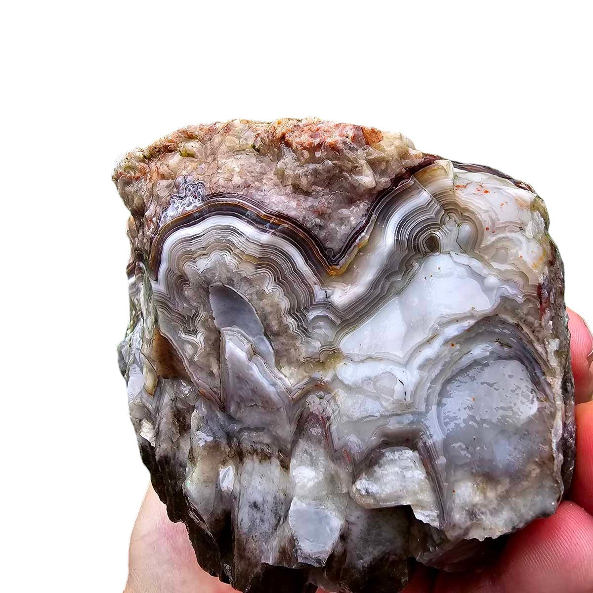 Old Vein Lace Agate Rough Chunk!