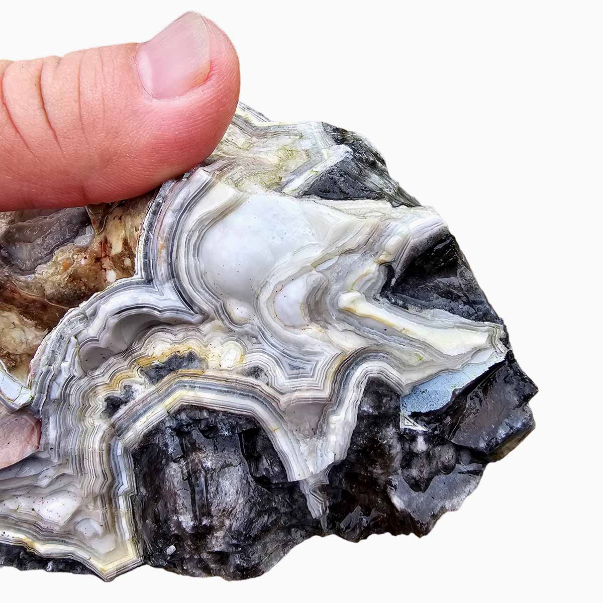 Old Vein Lace Agate Lapidary Rough Chunk