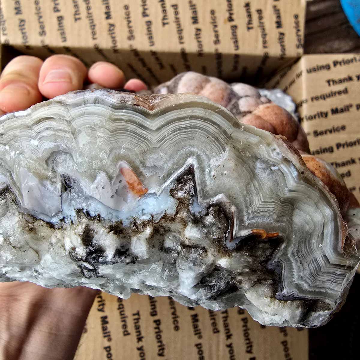 Old Vein Bubble Lace Agate Lapidary Rough Flatrate Slicing Stones Rock Box