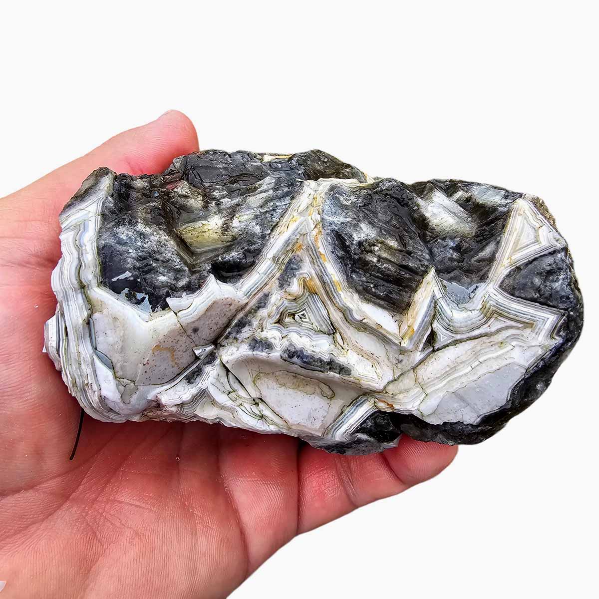 Old Vein Lace Agate Lapidary Rough Chunk