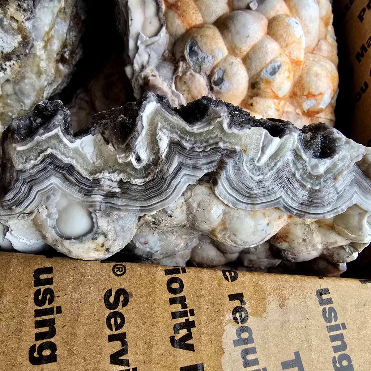 Old Vein Bubble Lace Agate Lapidary Rough Flatrate Slicing Stones Rock Box