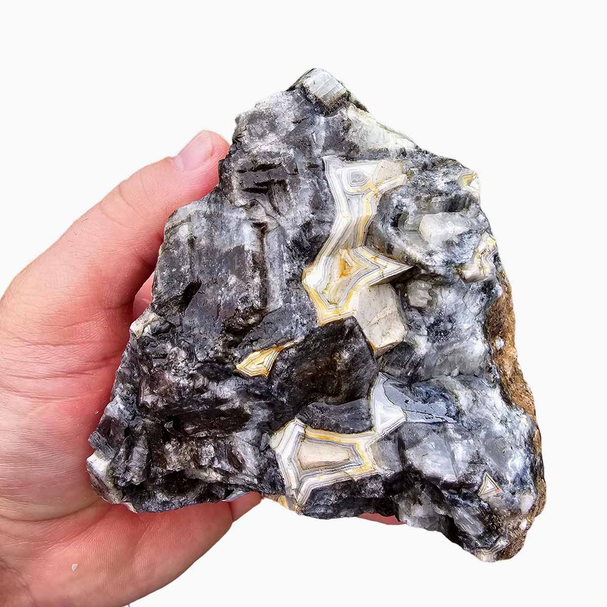 Old Vein Lace Agate Lapidary Rough Chunk