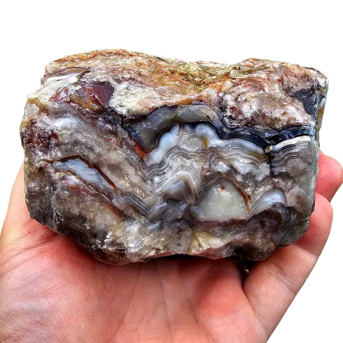 Old Vein Lace Agate Rough Chunk!