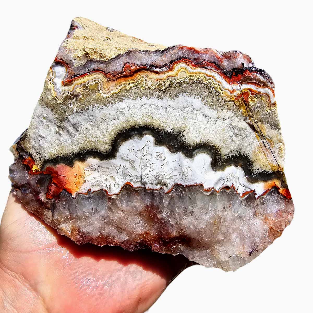 Crazy Lace Agate Lapidary Rough Chunk