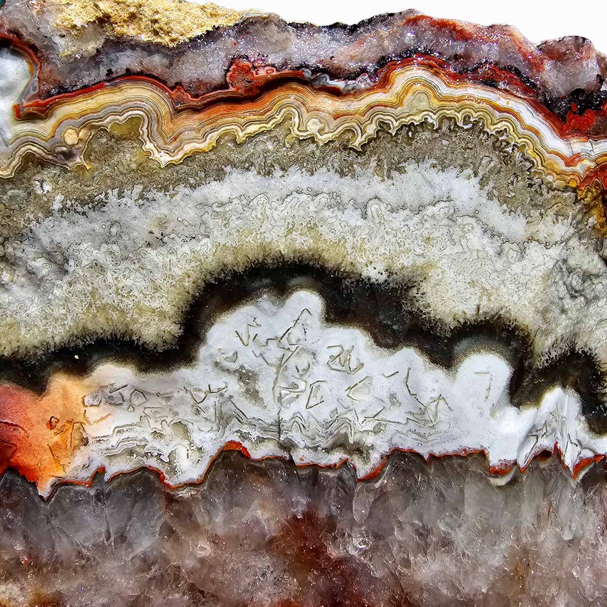 Crazy Lace Agate Lapidary Rough Chunk