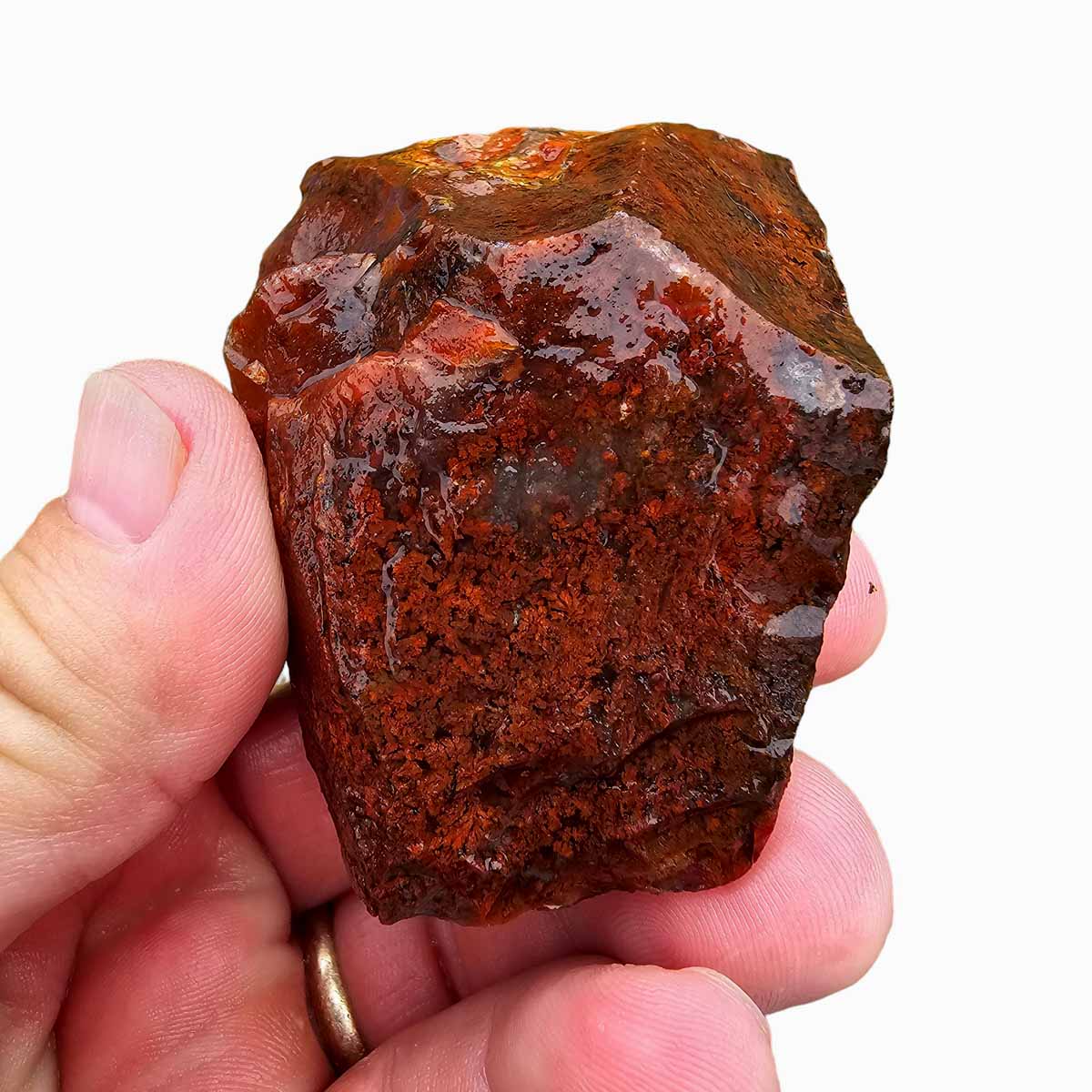 Old Stock Carey Plume Agate Rough Chunk
