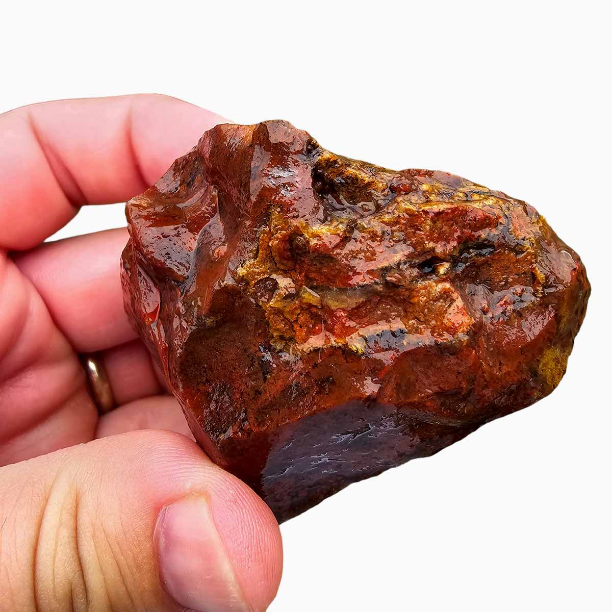 Old Stock Carey Plume Agate Rough Chunk