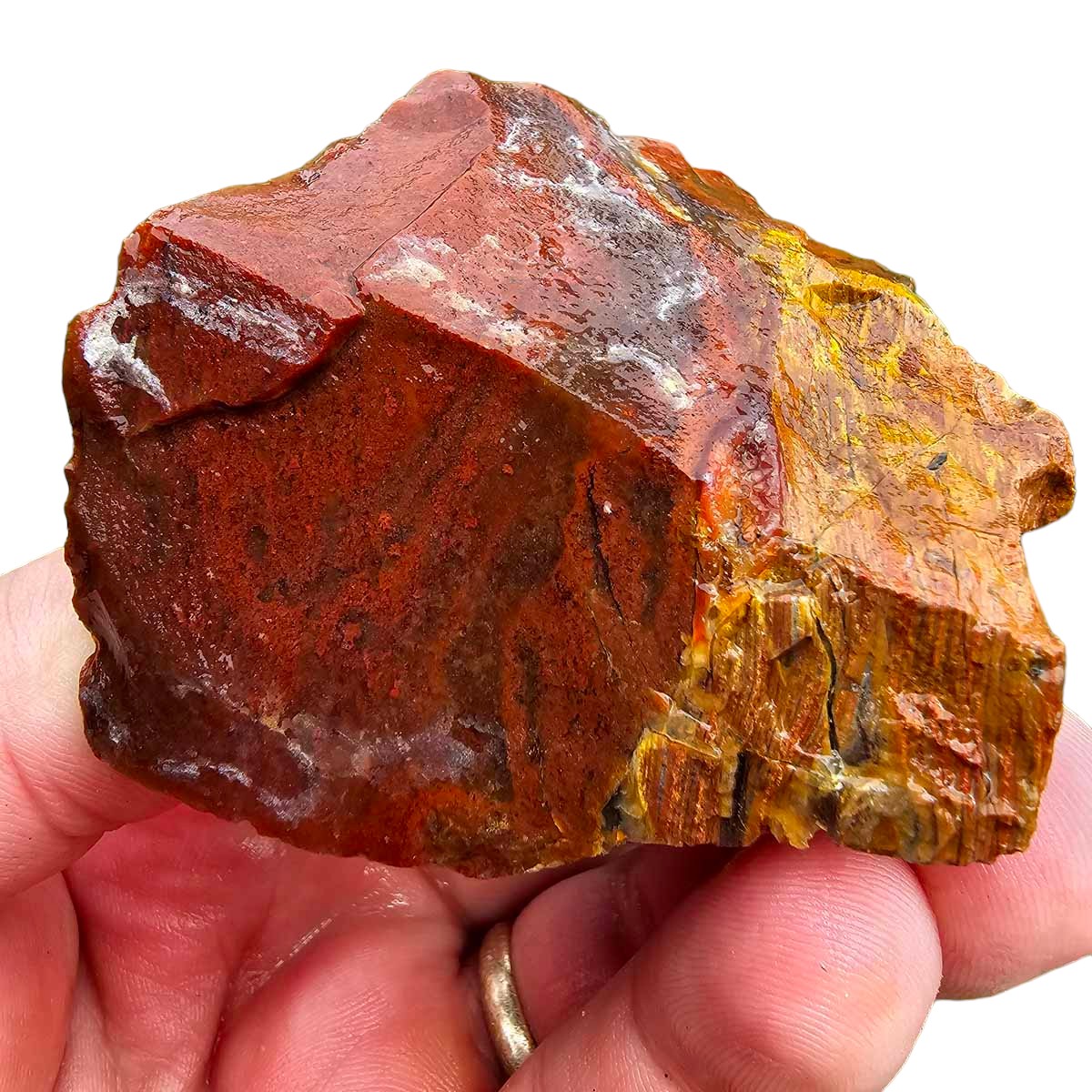 Old Stock Carey Plume Agate Rough Chunk!