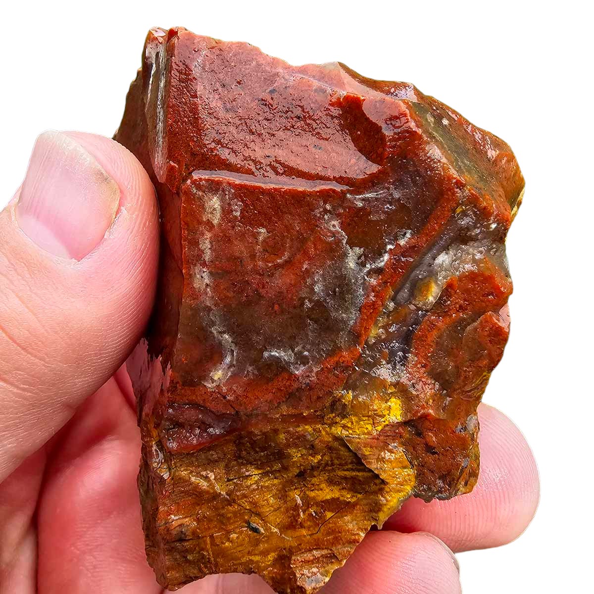 Old Stock Carey Plume Agate Rough Chunk!